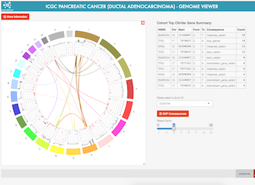 Thumbnail of the Shiny ICGC Genome Browser webpage. There is a title banner on top above two panels. In the left-hand side panel, there is a circular plot showing the 24 human chromosomes laid out on the circumference. Interacting genes are connected with edges, creating a web of connections across the plane of the circle but also short loops back to the same chromosome. In the right-hand side panel, there is a table that appears to list the genes of interest with some kind of values.
